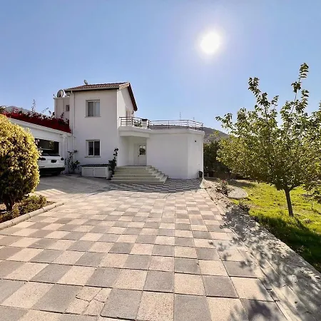 Large Garden&outdoor Space