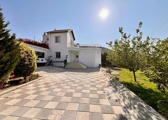 Large Garden&outdoor Space